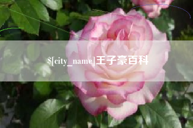 桐城王子豪百科