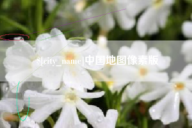 桐城中国地图像素版