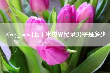 桐城五千米世界纪录男子是多少