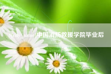 桐城中国消防救援学院毕业后
