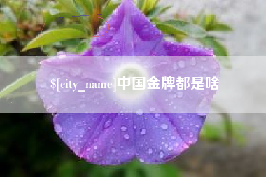桐城中国金牌都是啥