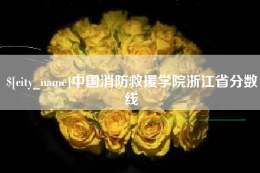 桐城中国消防救援学院浙江省分数线