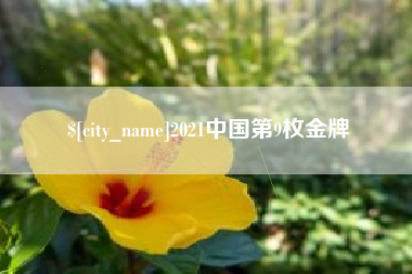 桐城2021中国第9枚金牌