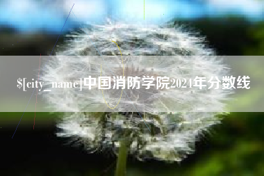 桐城中国消防学院2024年分数线