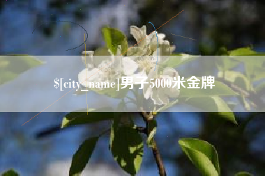 桐城男子5000米金牌
