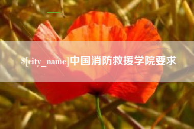桐城中国消防救援学院要求