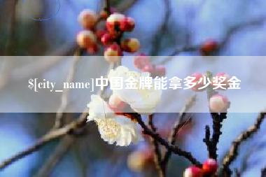 桐城中国金牌能拿多少奖金