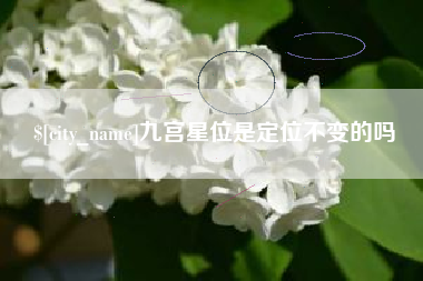 桐城九宫星位是定位不变的吗