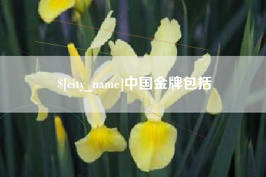 桐城中国金牌包括