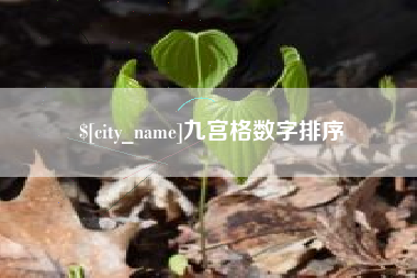 桐城九宫格数字排序