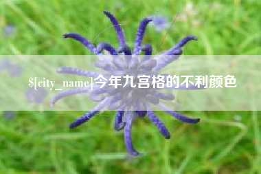 桐城今年九宫格的不利颜色