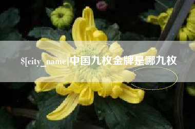 桐城中国九枚金牌是哪九枚