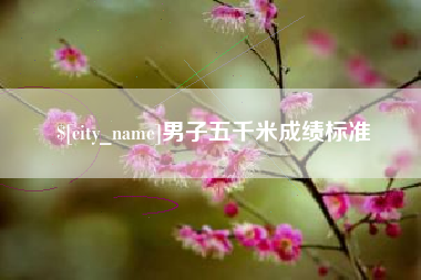桐城男子五千米成绩标准