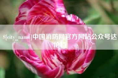 桐城中国消防网官方网站公众号达伦特