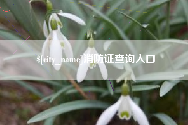 桐城消防证查询入口