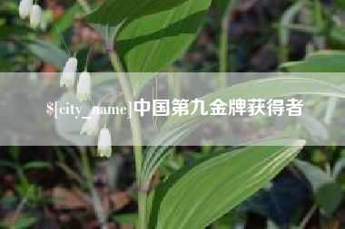 桐城中国第九金牌获得者