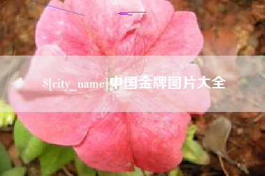 桐城中国金牌图片大全