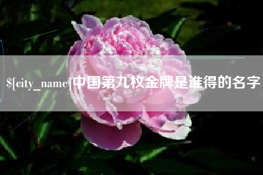 桐城中国第九枚金牌是谁得的名字