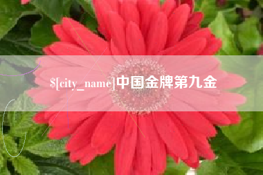 桐城中国金牌第九金
