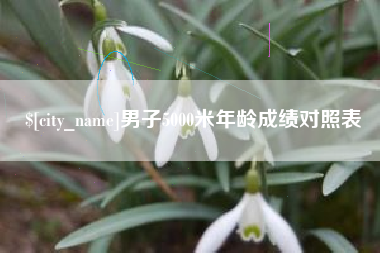 桐城男子5000米年龄成绩对照表