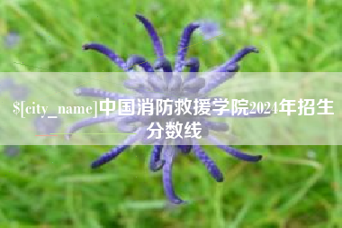 桐城中国消防救援学院2024年招生分数线