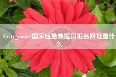 桐城国家应急救援员报名网址是什么
