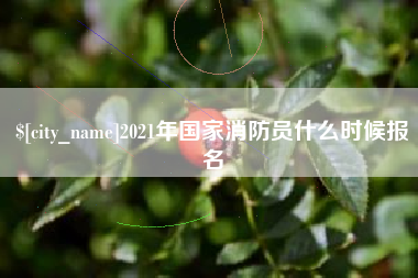 桐城2021年国家消防员什么时候报名