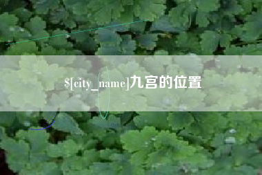 桐城九宫的位置
