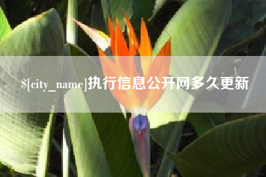 桐城执行信息公开网多久更新