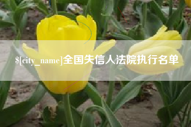 桐城全国失信人法院执行名单