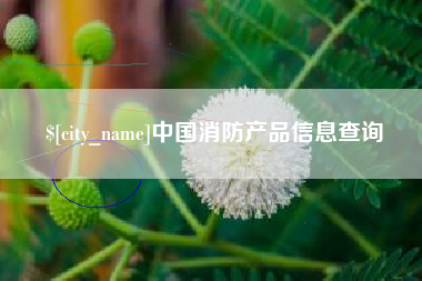桐城中国消防产品信息查询