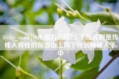 桐城60米接力赛技巧-下压式则是传棒人将棒的前部由上向下传到接棒人手中