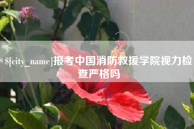 桐城报考中国消防救援学院视力检查严格吗