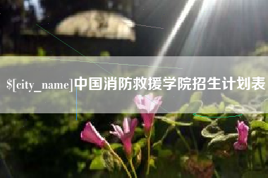 桐城中国消防救援学院招生计划表