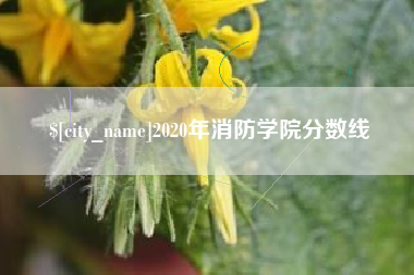 桐城2020年消防学院分数线