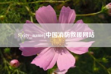 桐城中国消防救援网站