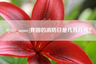 桐城我国的消防日是几月几号？