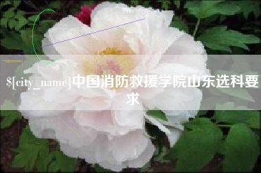 桐城中国消防救援学院山东选科要求