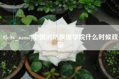 桐城中国消防救援学院什么时候政审