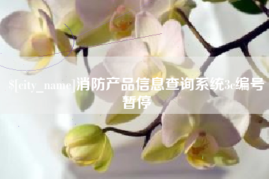 桐城消防产品信息查询系统3c编号暂停