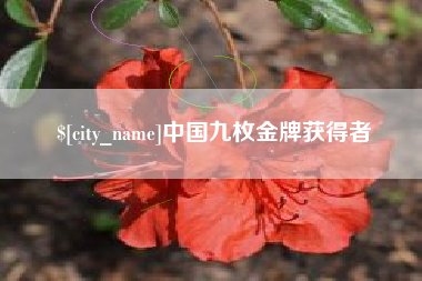 桐城中国九枚金牌获得者