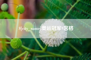 桐城奥运冠军9宫格