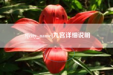 桐城九宫详细说明