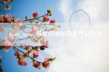 桐城每年的消防日是几月几号
