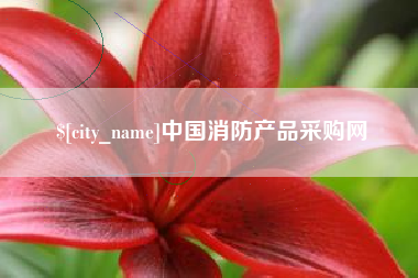 桐城中国消防产品采购网