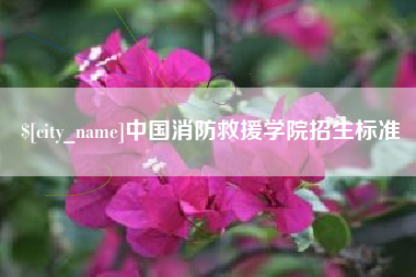 桐城中国消防救援学院招生标准