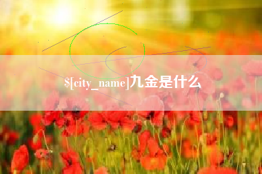 桐城九金是什么