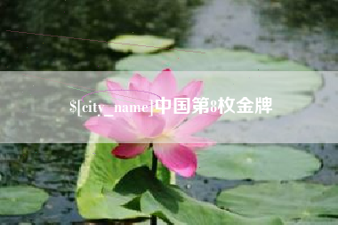 桐城中国第8枚金牌