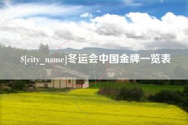 桐城冬运会中国金牌一览表