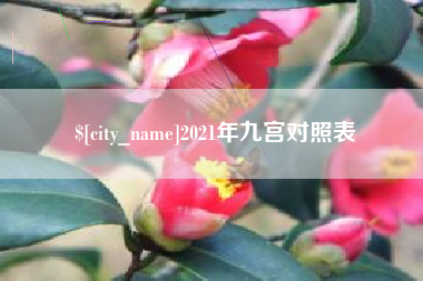 桐城2021年九宫对照表